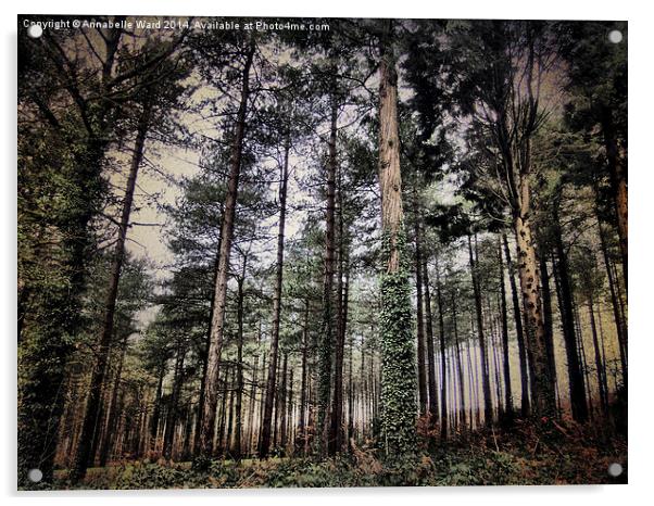 Parkhurst Trees Acrylic by Annabelle Ward