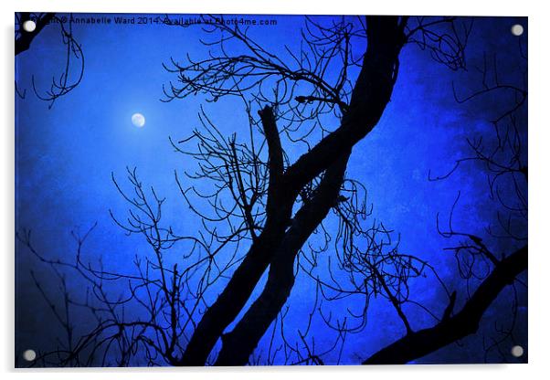 Blue Moon Rising Acrylic by Annabelle Ward