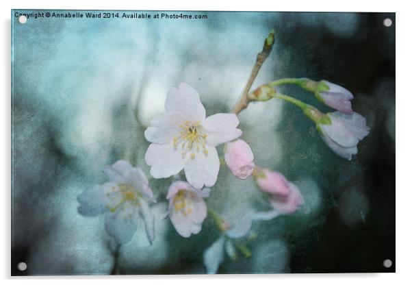 Spring Blossom. Acrylic by Annabelle Ward