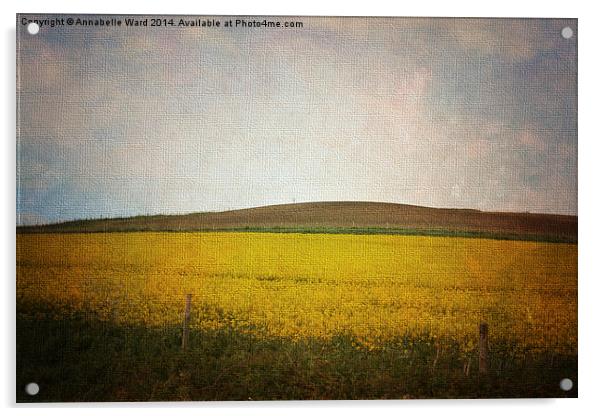 Field of Yellow Acrylic by Annabelle Ward