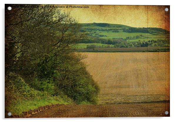 Farmland Hedgerow. Acrylic by Annabelle Ward
