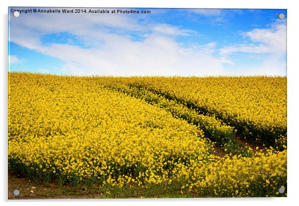 Yellow Field Flowers. Acrylic by Annabelle Ward