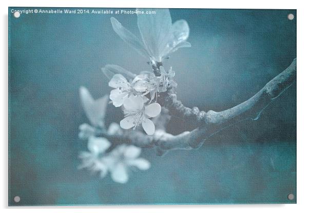 Apple Blossom Blues. Acrylic by Annabelle Ward