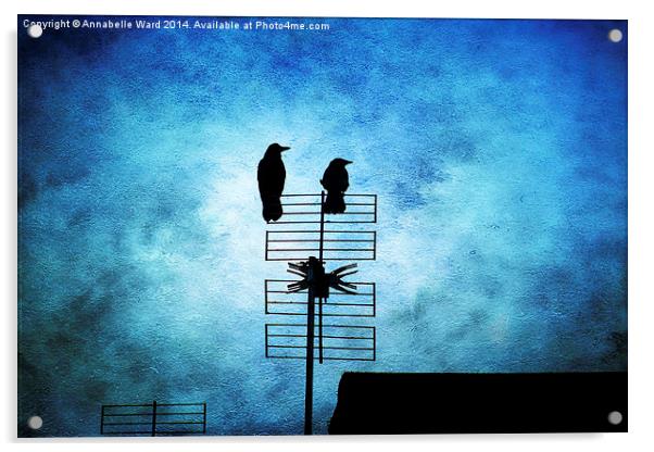 Two Crow Blues Acrylic by Annabelle Ward
