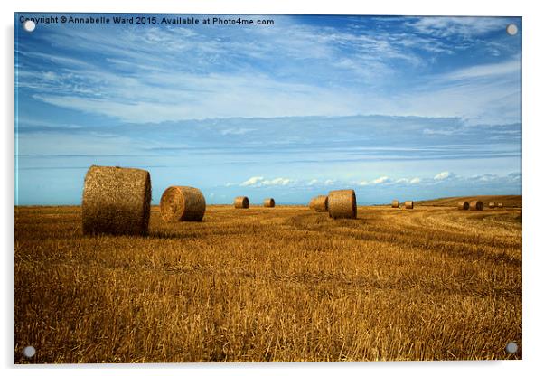  Straw Bale Fields Forever. Acrylic by Annabelle Ward