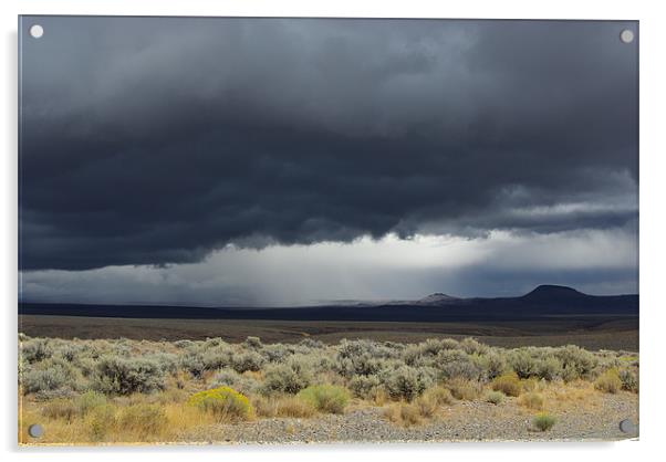 Nevada desert storm Acrylic by Claudio Del Luongo