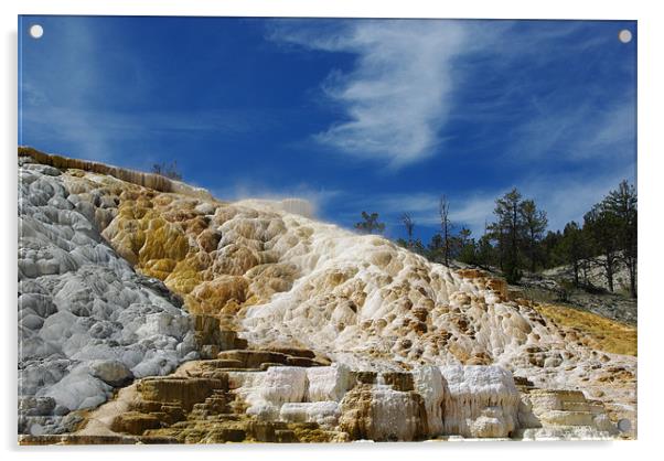Mammoth Terraces, Yellowstone Acrylic by Claudio Del Luongo