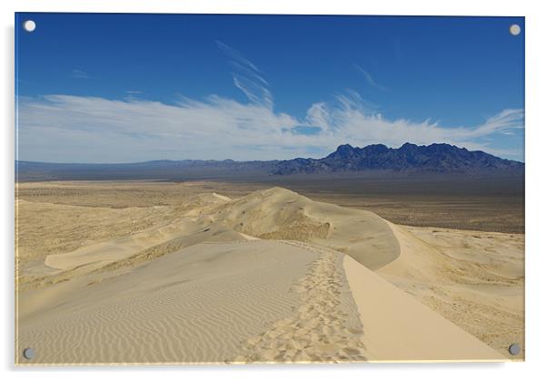 Mojave Dunes, California Acrylic by Claudio Del Luongo