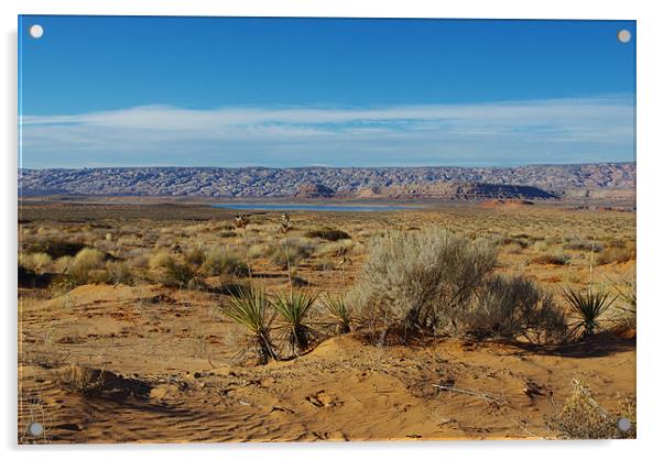 Lake Powell and desert, Utah Acrylic by Claudio Del Luongo