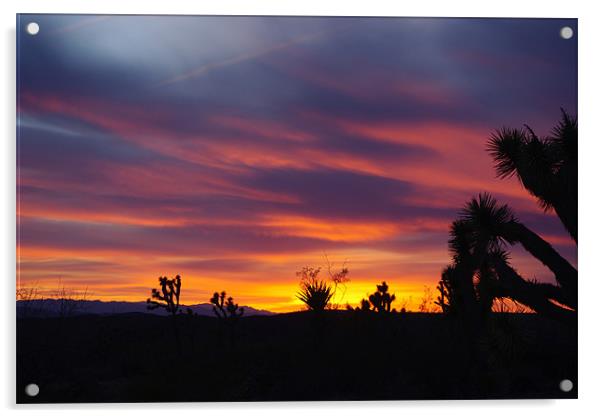 Nevada sunset Acrylic by Claudio Del Luongo