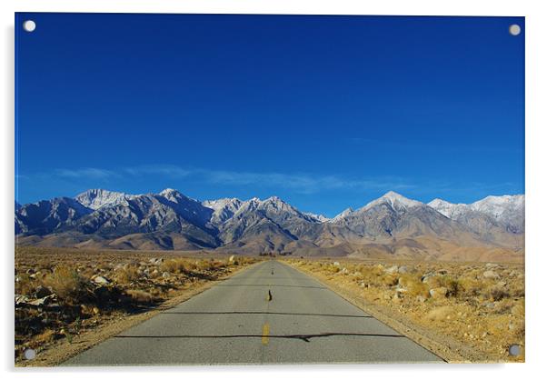 Road to Sierra Nevada, California Acrylic by Claudio Del Luongo