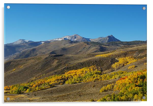 Autumn in mountains near Bridgeport, California Acrylic by Claudio Del Luongo