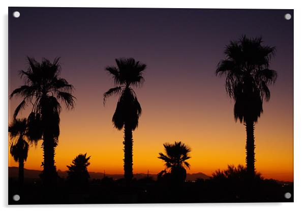 Arizona sunset with palms Acrylic by Claudio Del Luongo