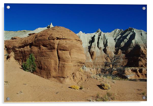 Kodachrome Basin, Utah Acrylic by Claudio Del Luongo