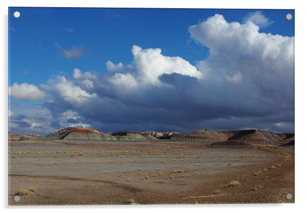 Clouds and blue sky on Petrified Forest Acrylic by Claudio Del Luongo