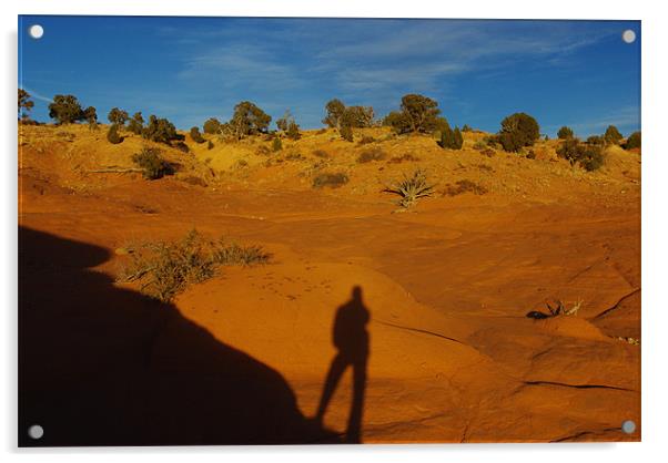 Shadow on red rocks, Utah Acrylic by Claudio Del Luongo