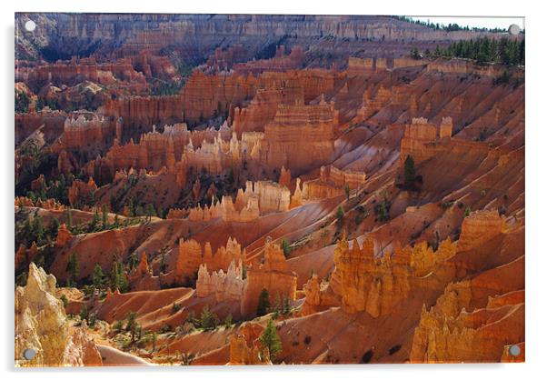 Bryce Canyon, Utah Acrylic by Claudio Del Luongo