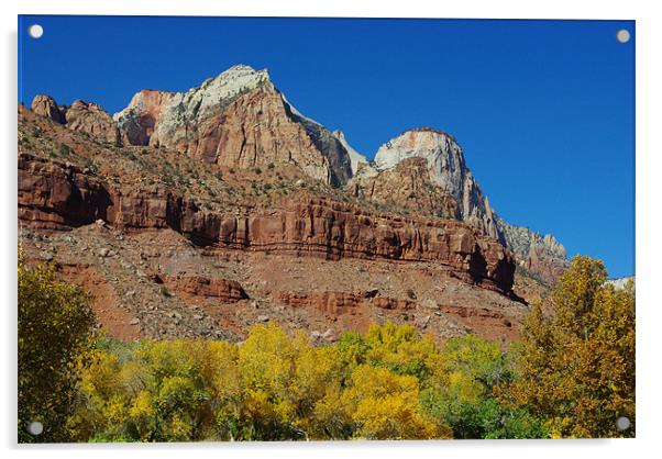 Autumn colors in Zion, Utah Acrylic by Claudio Del Luongo