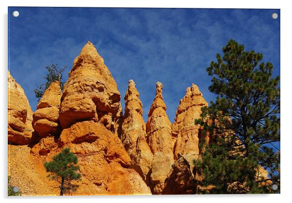 Rock towers, Bryce Canyon, Utah Acrylic by Claudio Del Luongo