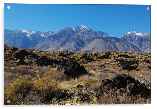 Lava and highest Sierra Nevada peaks, California Acrylic by Claudio Del Luongo