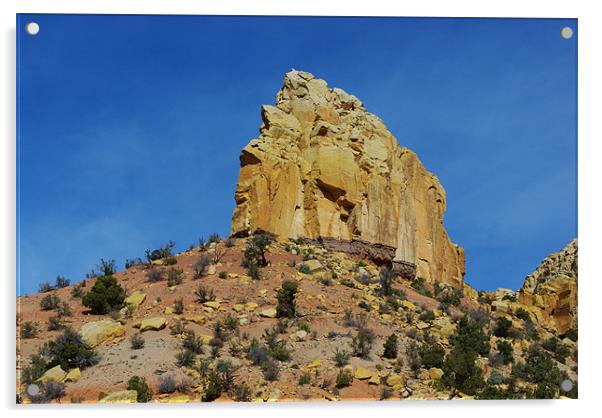 Near Wolverine Petrified Wood Area, Utah Acrylic by Claudio Del Luongo