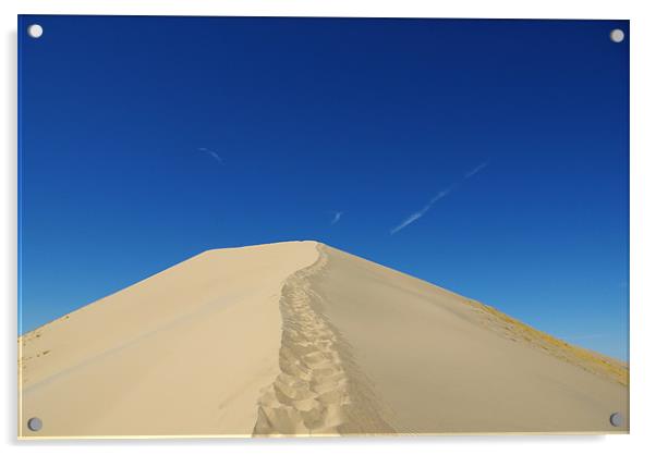 Mojave Desert Dune, California Acrylic by Claudio Del Luongo