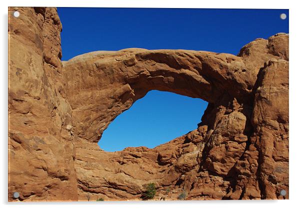 Big Arch, Utah Acrylic by Claudio Del Luongo
