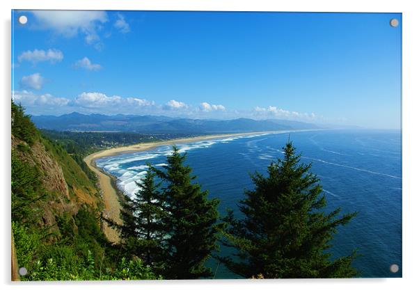 Pacific coast, Oregon Acrylic by Claudio Del Luongo