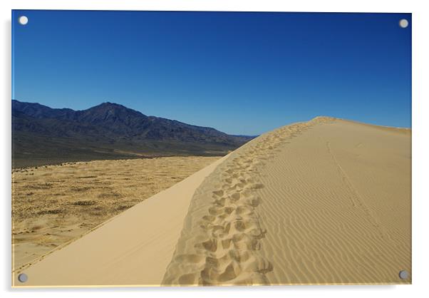 Mojave dune, California Acrylic by Claudio Del Luongo