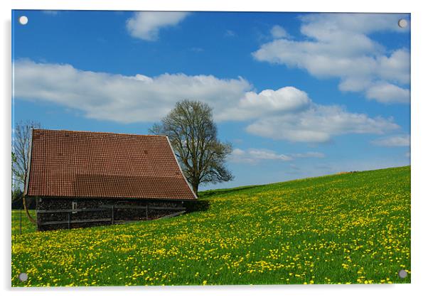 Spring colours in Bavaria Acrylic by Claudio Del Luongo