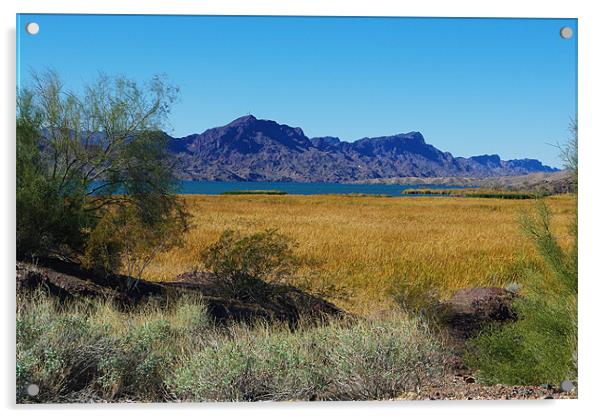 Lake Havasu, Arizona Acrylic by Claudio Del Luongo