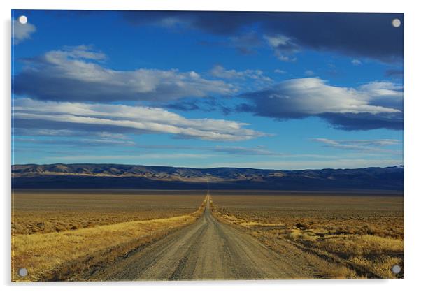 Dirt road through Nevada Acrylic by Claudio Del Luongo