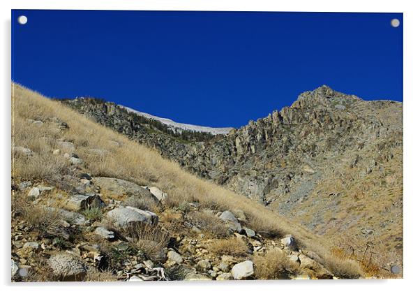 Sierra Nevada wilderness Acrylic by Claudio Del Luongo