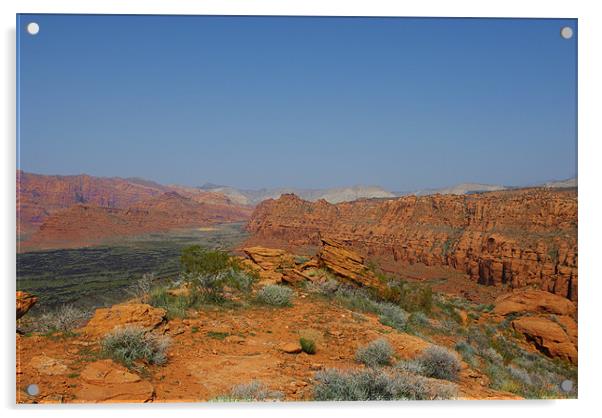 Snow Canyon, Utah Acrylic by Claudio Del Luongo