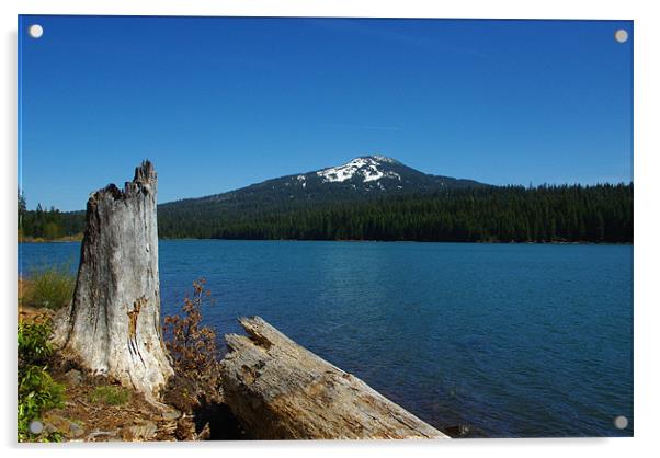 Lake of the Woods, Oregon Acrylic by Claudio Del Luongo