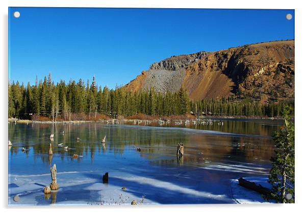 Near Mammoth Lakes, California Acrylic by Claudio Del Luongo