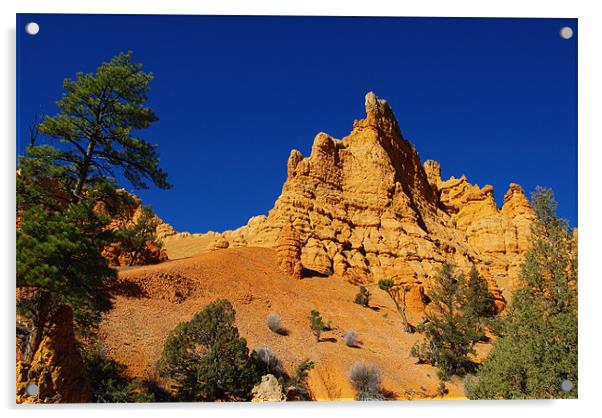 Casto Canyon impression, Utah Acrylic by Claudio Del Luongo