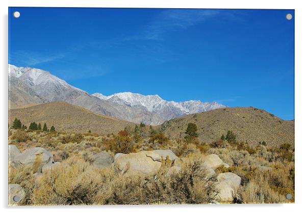 Majestic Sierra Nevada Acrylic by Claudio Del Luongo