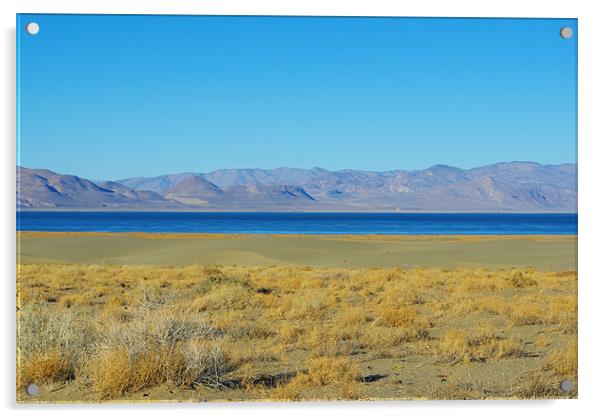 Blue Pyramid Lake, Nevada Acrylic by Claudio Del Luongo