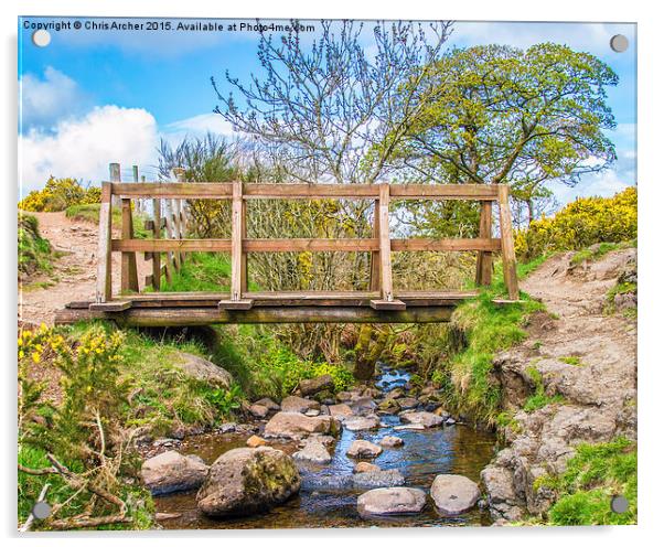 Glen Burn Bridge Acrylic by Chris Archer