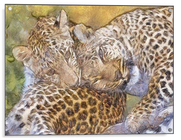 Loving Leopards Acrylic by Keith Furness