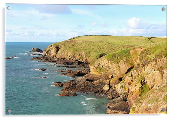 Lizard Point Acrylic by Paula Guy