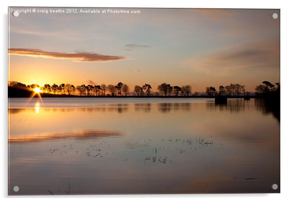 Winter Sunrise Acrylic by craig beattie