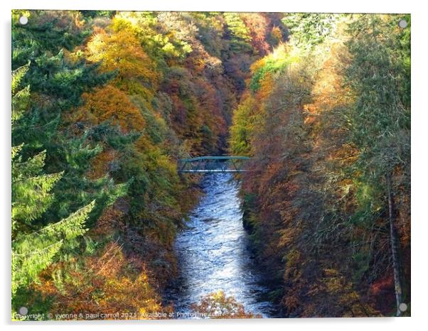 Killiecrankie Gorge in Autumn Acrylic by yvonne & paul carroll
