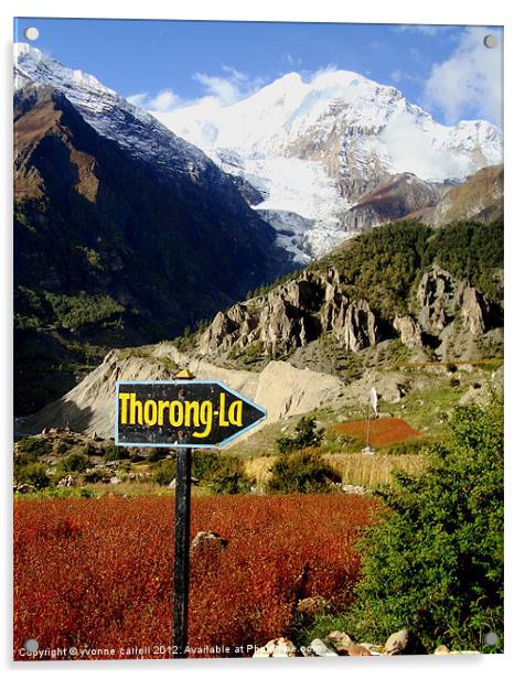 To the Thorong-La Pass, Nepal Acrylic by yvonne & paul carroll