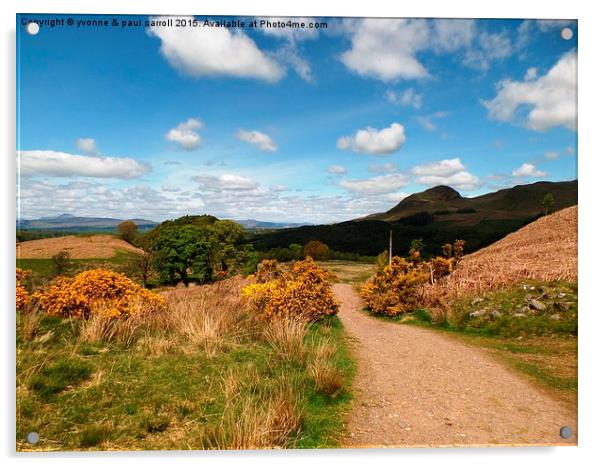  West Highland Way Acrylic by yvonne & paul carroll