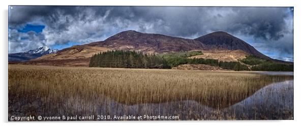 Driving to Elgol, Isle of Skye Acrylic by yvonne & paul carroll