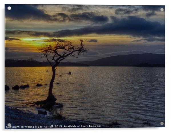 Millarochy Bay, Loch Lomond at sunset Acrylic by yvonne & paul carroll