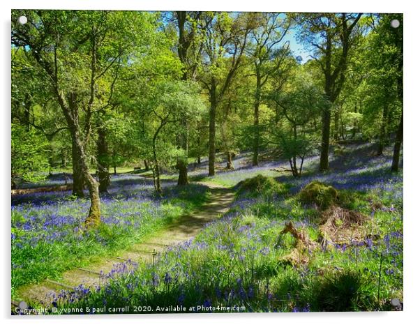 Inchcailloch bluebell woods in May                 Acrylic by yvonne & paul carroll