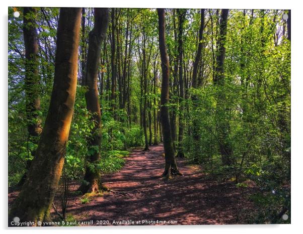 Cairnhill Woods Acrylic by yvonne & paul carroll